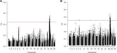 Identification of Haplotypes Associated With Resistance to Bacterial Cold Water Disease in Rainbow Trout Using Whole-Genome Resequencing